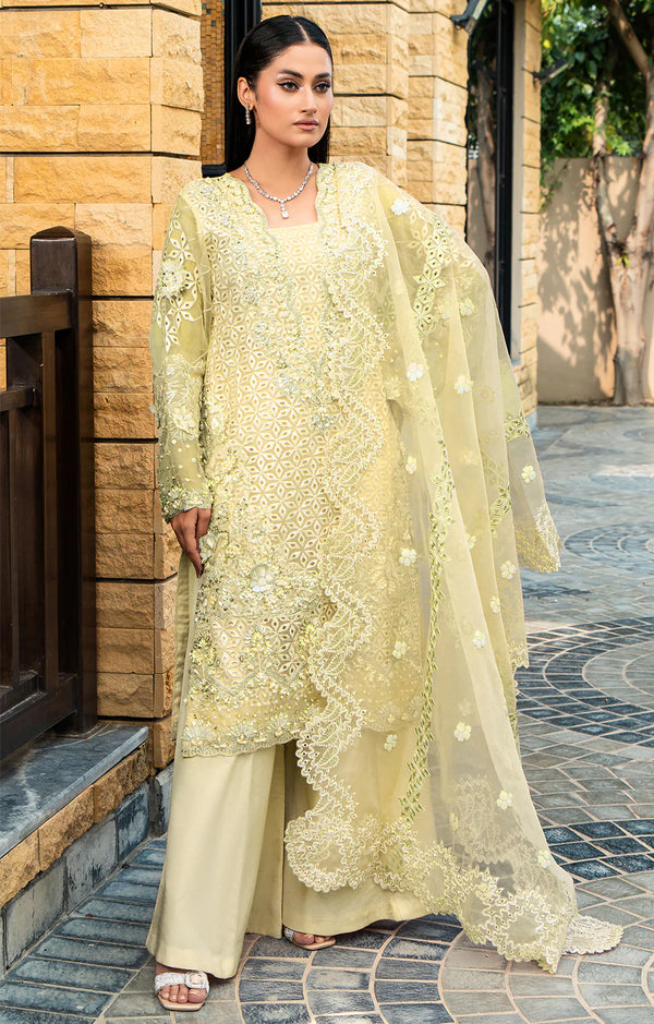 LAILA MISHRA Organza Amal