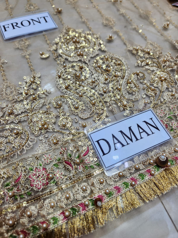 Maria B | Pistachio Green & Salmon Pink - Net Collection Replica