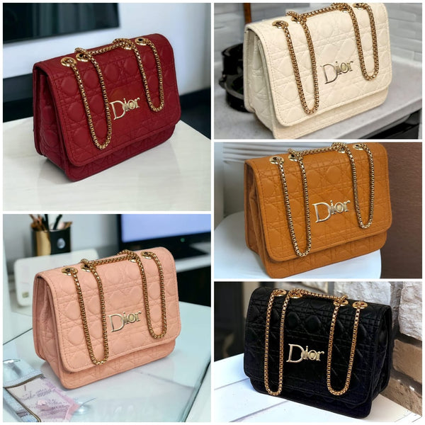 Dior Luxury Crossbody Bag