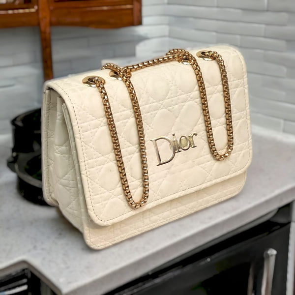 Dior Luxury Crossbody Bag