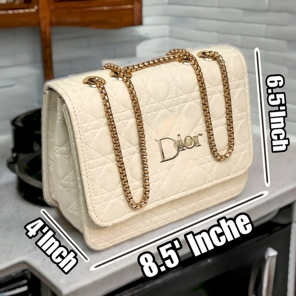 Dior Luxury Crossbody Bag