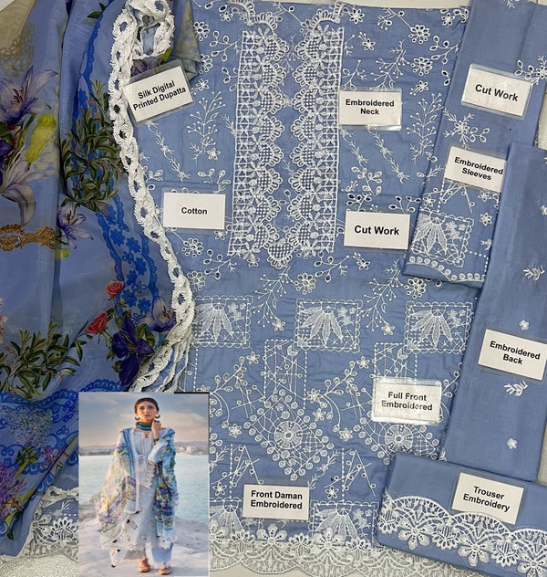 Image | Sky Blue - Chikankari Collection Replica