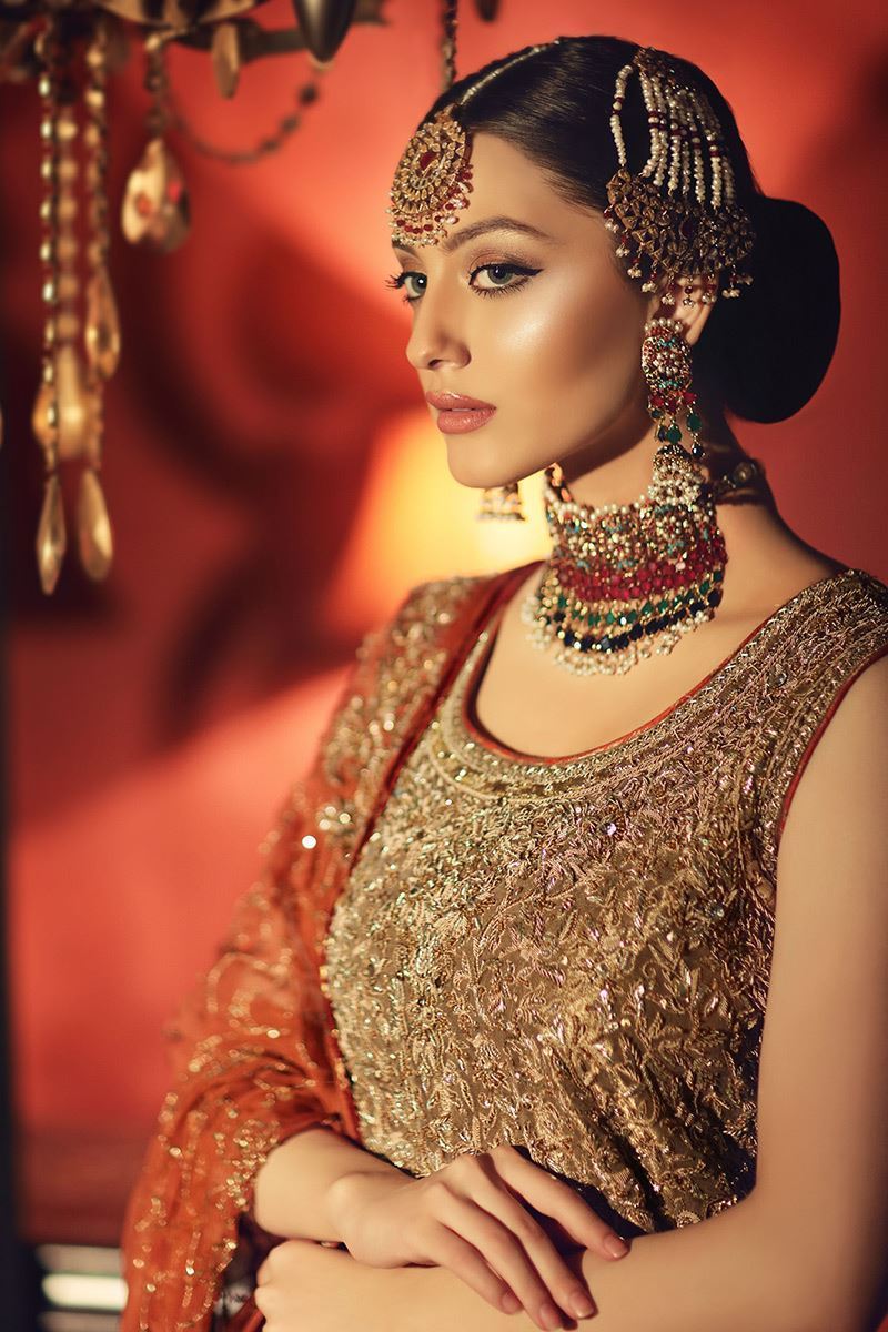 Aisha Imran Brown Net Bridal Collection Replica