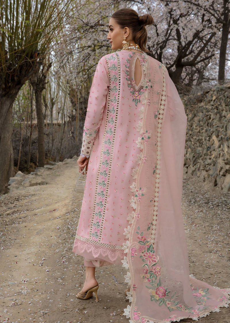 Crimson | Pink - Luxury Lawn Collection Repllca