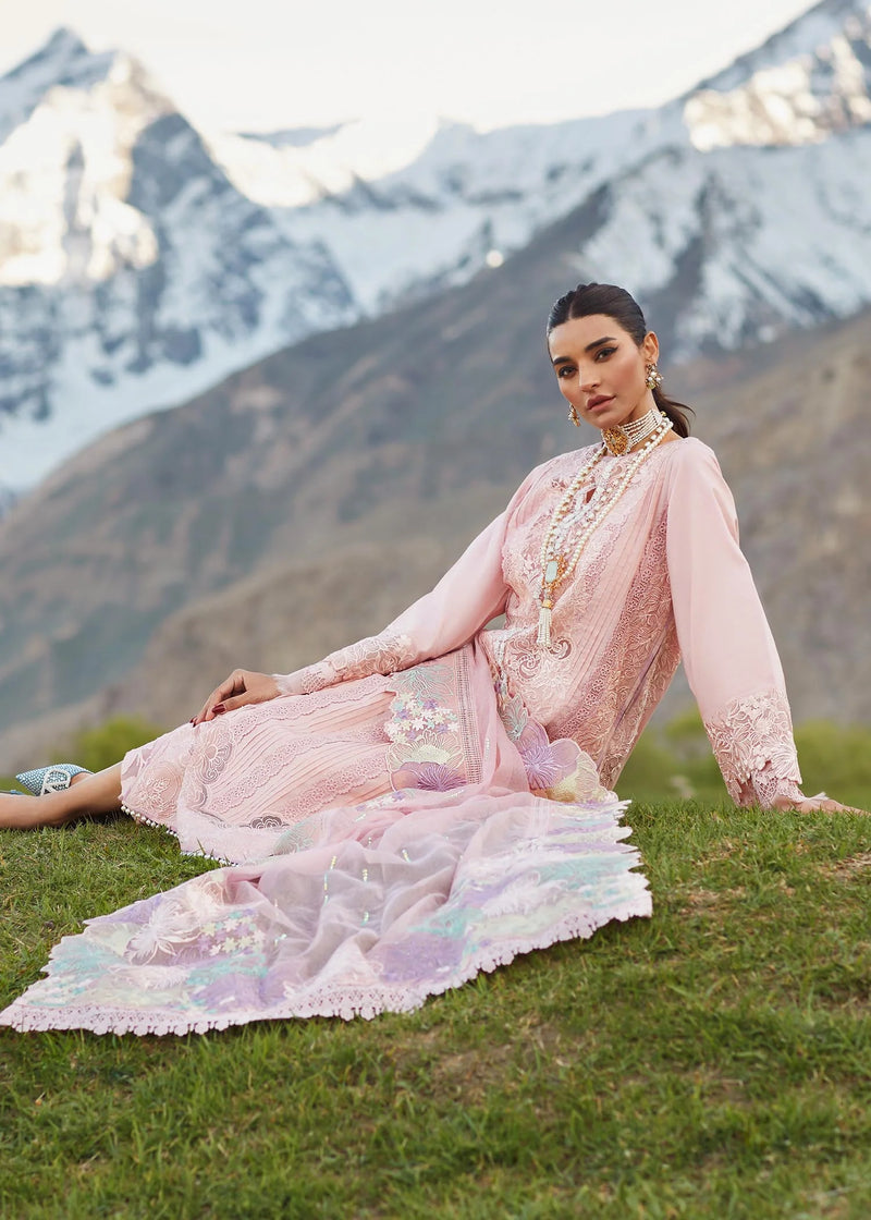 Crimson | Blush - Cotton Collection Replica