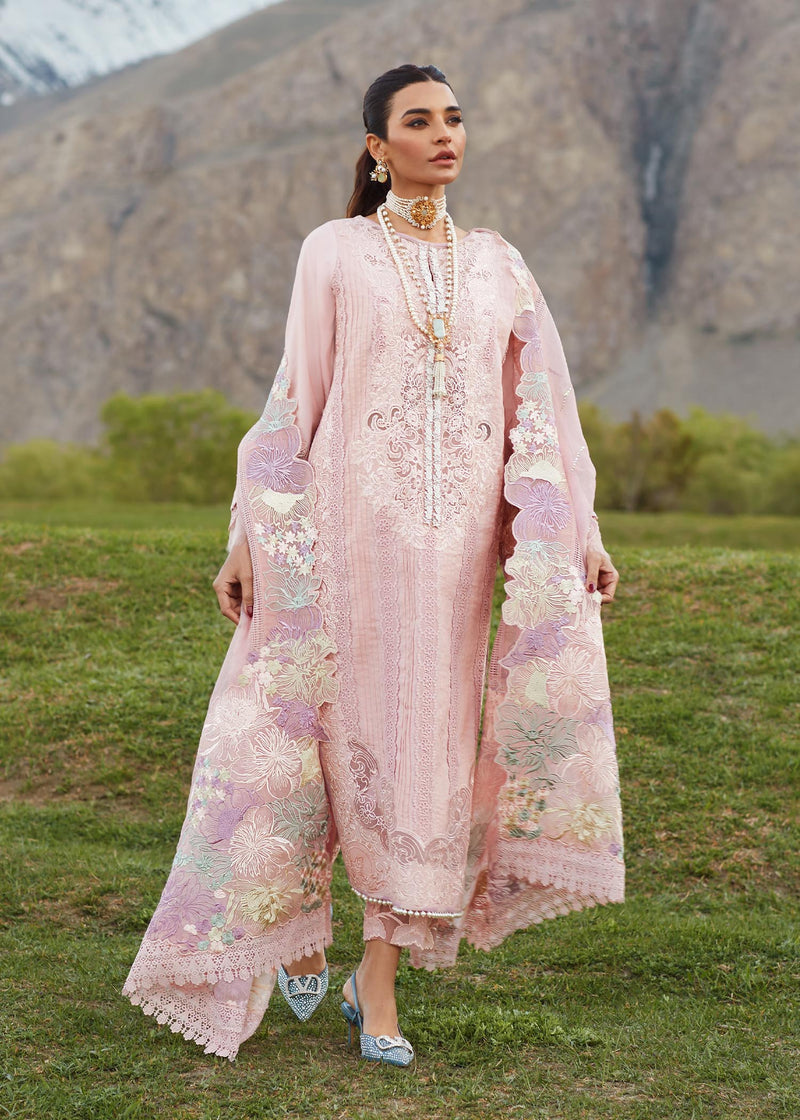 Crimson | Blush - Cotton Collection Replica