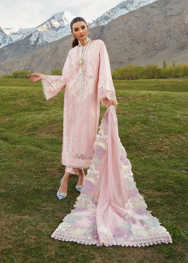 Crimson | Blush - Cotton Collection Replica