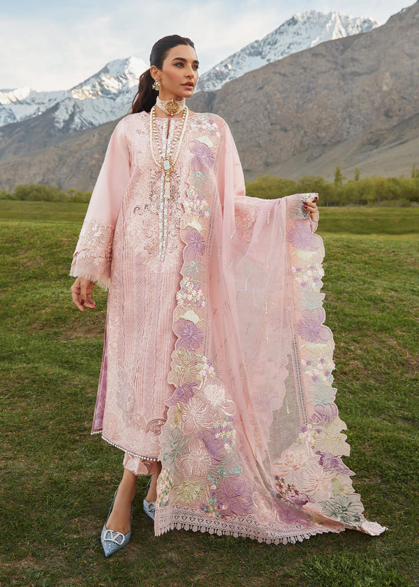 Crimson | Blush - Cotton Collection Replica