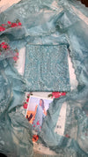 Maria B MB D-2504 (Ice Ferozi Lawn)