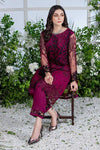 Azure Maroon 2 Piece Net Collection Replica