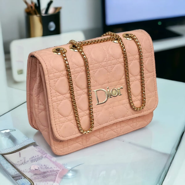 Dior Luxury Crossbody Bag