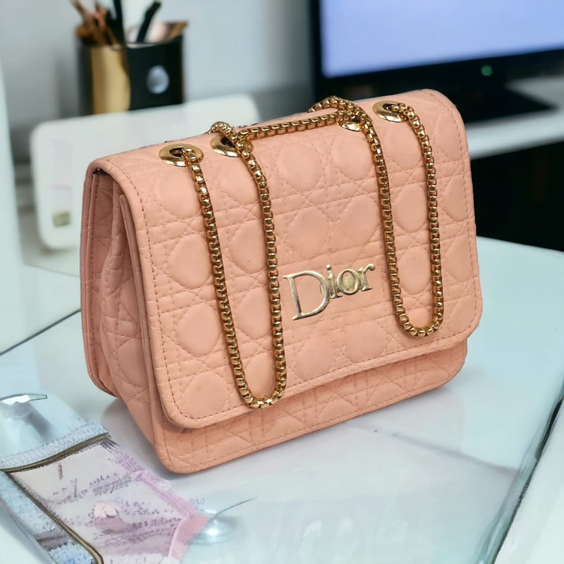 Dior Luxury Crossbody Bag